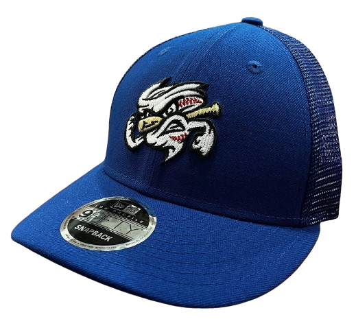 Omaha Storm Chasers New Era 950 Evergreen Low Profile Royal